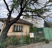 Na predaj starší rodinný dom v centre Ilavy – pozemok 280 m² - Rodinný dom v Ilave s oplotenou záhradou, stromom a susediacimi budovami v pozadí.