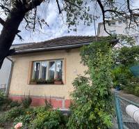 Na predaj starší rodinný dom v centre Ilavy – pozemok 280 m² - Rodinný dom v Ilave s upravenou záhradou a kvetinami pod oknom.