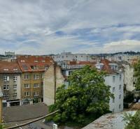 Prenájom pekný 2 izbový, Špitálska ulica, Bratislava I. Staré Mesto - Pohľad na strechy budov a zeleň v Bratislave, Starom Meste na Špitálskej ulici.