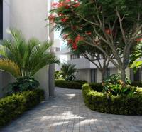 SANTA ROSALIA - Luxusné apartmány s 2 -3 spálňami s výhľadom na jazero - Pekný vonkajší priestor plný zelene a chodníka v oblasti Santa Rosalia Lake v Torre Pacheco pri trojizbových bytoch.