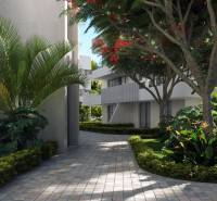 SANTA ROSALIA - Luxusné apartmány s 2 -3 spálňami s výhľadom na jazero - Ulica Santa Rosalia Lake v Torre Pacheco s palmami pri 3-izbovom byte.