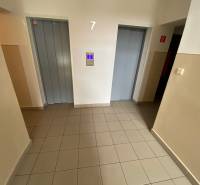 3 izbový byt na predaj,  80 m2, Zvolen - Podborová - Chodba s dvomi výťahmi, dlažba a svetlé steny v 3-izbovom byte.