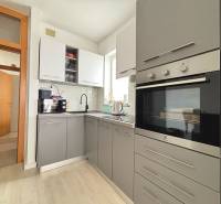 ☀NOVALJA (HR) - 3-izbový moderne zariadený apartmán, blízko pláže  - Kuchyňa v 3-izbovom byte s moderným spotrebičom a sivými skrinkami.