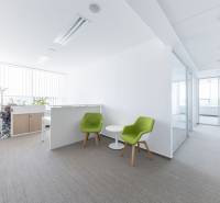Moderné kancelárske priestory vo Westend Tower - Svetlá Kancelária s pohodlnými stoličkami a konferenčným stolom, zdobená rastlinami.