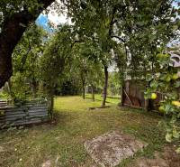 Exkluzívne na predaj drevenica s pozemkom 406 m2, Papradno - Ovocné stromy v záhrade pri chate v Papradne s úrodou jabĺk a dreveným plotom.