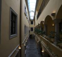 Klimatizované kancelárie v centre mesta na Michalskej ulici  - Chodba v kanceláriách s presklenou strechou a rastlinami.