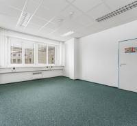 Klimatizované kancelárie v centre mesta na Štúrovej ulici  - Prázdna kancelária s koberecom a oknami, biele steny, zelený koberec.