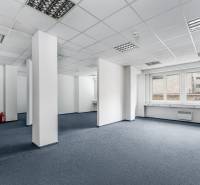 Klimatizované kancelárie v centre mesta na Štúrovej ulici  - Prázdne kancelárie s bielymi stenami a modrým kobercom, vhodné na prenájom.