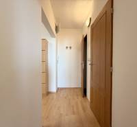 Priestranný 3-izbový byt s balkónom 68 m² Belinského - Chodba s drevenou podlahou a dvermi v 3-izbovom byte.