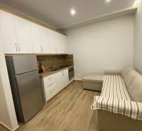 Sarandë - novozariadený apartmán s výhľadom na more - Rekreačný apartmán s kuchynskou linkou, chladničkou a pohodlnou pohovkou na drevenej podlahe.