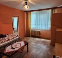 REZERVOVANÝ- 1-izbový byt, Košice, Ružová ulica - Obývacia izba v 1-izbovom byte so sedačkou, stolíkom a oknom s radiátorom.