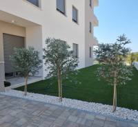 CHORVÁTSKO - Pekné apartmány 350m od pláže (S1) - VODICE - Exteriér 4-izbového bytu vo Vodici, elegantná záhrada so stromami a trávnikom.
