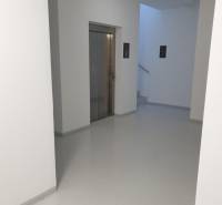 Nový moderný byt s balkónom a parkovaním v širšom centre. Jarabinková - Chodba s výťahom a schodiskom v bytovom dome, 2-izbový byt.