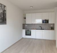 Nový moderný byt s balkónom a parkovaním v širšom centre. Jarabinková - Svetlá kuchyňa s bielou linkou v 2-izbovom byte s obrazom na stene.