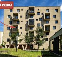 PREDAJ: menší 2-izbový byt + KK,  Košice–Nová Terasa, ul. Strážovská - Byt na predaj na ulici Strážovská, Košice - mestská časť Západ, ponúka pohodlné bývanie.