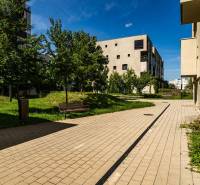 PREDAJ: menší 2-izbový byt + KK,  Košice–Nová Terasa, ul. Strážovská - Chodník na Strážovskej ulici v Košiciach - mestskej časti Západ lemovaný stromami a budovami.
