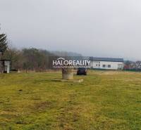 Predaj, pozemok pre rodinný dom   4629 m2 Ruskov, RU... - Pozemky - bývanie v Ruskove s trávnatou plochou a nehnuteľnosťou.