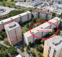 REWIN I VÝNIMOČNÝ 2-IZBOVÝ BYT NA PRENÁJOM! - Letecký pohľad na obytné budovy s označeným 2-izbovým bytom v Bratislave – Novom Meste.