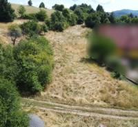 SLNEČNÝ POZEMOK V SRDCI BANSKEJ ŠTIAVNICE, 2 000 M2   - Lúka s trávou a stromami na pozemku pre bývanie v Banskej Štiavnici, ulica SNP.