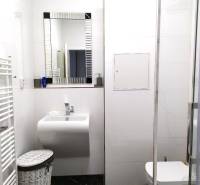 VELKOMETRÁŽNY 1 IZB.AP.BYT- TRNAVSKÁ CESTA, NOVÉ MESTO,BRATISLAVA - Kúpeľňa so sprchovacím kútom a umývadlom v 1-izbovom byte.