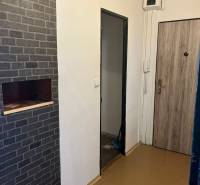 2 - izbový byt - Nitra - Dlhá ul. - na prenájom - Vstupná chodba v 2-izbovom byte s drevenou podlahou a tehlovou stenou.