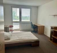 2 - izbový byt - Nitra - Dlhá ul. - na prenájom - Spálňa v 2-izbovom byte s posteľou a písacími stolmi, svetlo z okna.
