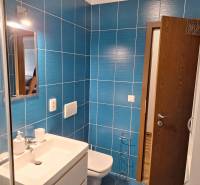 2-izb. byt, Pezinok, sídlisko Muškát - Kúpeľňa so sprchovacím kútom, umývadlom a modrými obkladmi v 2-izbovom byte.