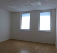 Sklad na prenájom s kanceláriami a zázemím o ploche 370 m2 - Pustá miestnosť s drevenou podlahou a dvoma oknami. Sklady a haly.
