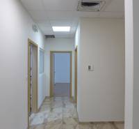 Sklad na prenájom s kanceláriami a zázemím o ploche 370 m2 - Biela chodba s dlažbou, drevenými dverami a osvetlením v areáli skladov a hál.
