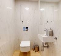Prenájom 2i byt I exluzívny výhľad na hrad aj most Apollo - Kúpeľňa v 2-izbovom byte s elegantne obloženými stenami a kompaktným umývadlom.