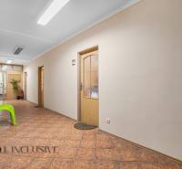 NA PRENÁJOM KANCELÁRSKE PRIESTORY V CENTRE MESTA D.S. - Chodba s dverami a kvetmi v Kanceláriách na ulici Jilemnického, Dunajská Streda.