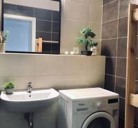 1-izb. apartmán, Antolska ul., Petržalka, rezidencia Draždiak - Kúpeľňa v 1-izbovom byte s práčkou, umývadlom a dekoráciou.