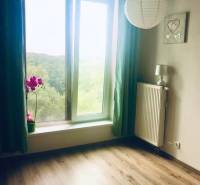 1-izb. apartmán, Antolska ul., Petržalka, rezidencia Draždiak - Izba v 1-izbovom byte so svetlým dreveným podlahou, veľkým oknom a svietidlom.