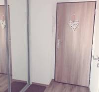 1-izb. apartmán, Antolska ul., Petržalka, rezidencia Draždiak - Chodba 1-izbového bytu s drevenými dverami a zrkadlovou skriňou.