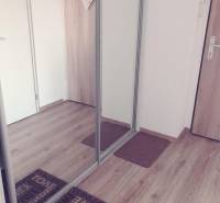 1-izb. apartmán, Antolska ul., Petržalka, rezidencia Draždiak - Interiér 1-izbového bytu s podlahou, zrkadlovou skriňou a dekoráciou na dverách.