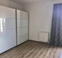1-izb. apartmán, Antolska ul., Petržalka, rezidencia Draždiak - Izba s drevenou podlahou, veľká skriňa a záves, 1-izbový byt.