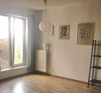 1-izb. apartmán, Antolska ul., Petržalka, rezidencia Draždiak - Izba v 1-izbovom byte so svetlým a priestranným interiérom, polička a dekorácie.