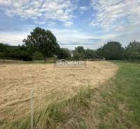 Predaj, pozemok pre rodinný dom   941 m2 Rybník - EX... - Pozemky - bývanie v Rybníku, zobrazené s trávnatou plochou a stromami, ideálne pre domy.