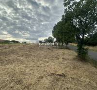 Predaj, pozemok pre rodinný dom   941 m2 Rybník - EX... - Pozemky - bývanie v Rybníku, tráva, stromy, cesta, oblačná obloha, pokojná lokalita.