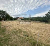 Predaj, pozemok pre rodinný dom   941 m2 Rybník - EX... - Trávnatý pozemok na bývanie v Rybníku obklopený stromami a budovami.