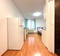 PREDAJ-GARSÓNKA-20m2-GUOTHOVA- KRAMÁRE - Garsónka s drevenou podlahou, posteľou, písacím stolom a chladničkou.