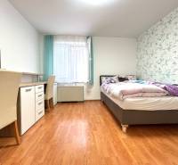 PREDAJ-GARSÓNKA-20m2-GUOTHOVA- KRAMÁRE - Spálňa v garsónke s pracovným stolom, lôžkom a dekoračnou tapetou.