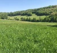Pekný pozemok (3,2ha) na Hrušove okres Veľký Krtíš. - Lúka so zelenými pozemkami a stromami na kopci, ideálne pre rekreačné pozemky.