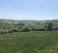 Pekný pozemok (3,2ha) na Hrušove okres Veľký Krtíš. - Zelené kopce a rozľahlé luky vytvárajú pokojné prostredie pre rekreačné pozemky.