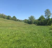 Pekný pozemok (3,2ha) na Hrušove okres Veľký Krtíš. - Zelené lúky s lesmi a rekreačné pozemky na vidieku, ideálne na oddych.