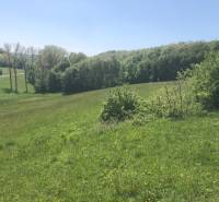 Pekný pozemok (3,2ha) na Hrušove okres Veľký Krtíš. - Na obrázku sú zelené rekreačné pozemky s cestou, obklopené lesmi a prírodou.