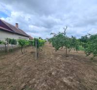 Na predaj pekný ,slnečný pozemok Moča ! - V Záhradách v Moči sa nachádzajú ovocné stromy a vinič s obytným domom.