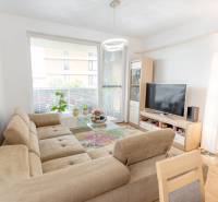 Jedinečný 3-izbový apartmán s balkónom, 71 m², Nový Ružinov - Svetlá obývačka 3-izbového bytu s pohovkou, televízorom, kobercom a kvetmi pri okne.