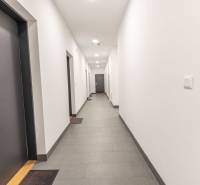 Jedinečný 3-izbový apartmán s balkónom, 71 m², Nový Ružinov - Chodba v bytovom dome s viacerými tmavými dverami.