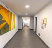 Jedinečný 3-izbový apartmán s balkónom, 71 m², Nový Ružinov - Chodba s abstraktným obrazom v 3-izbovom byte.
